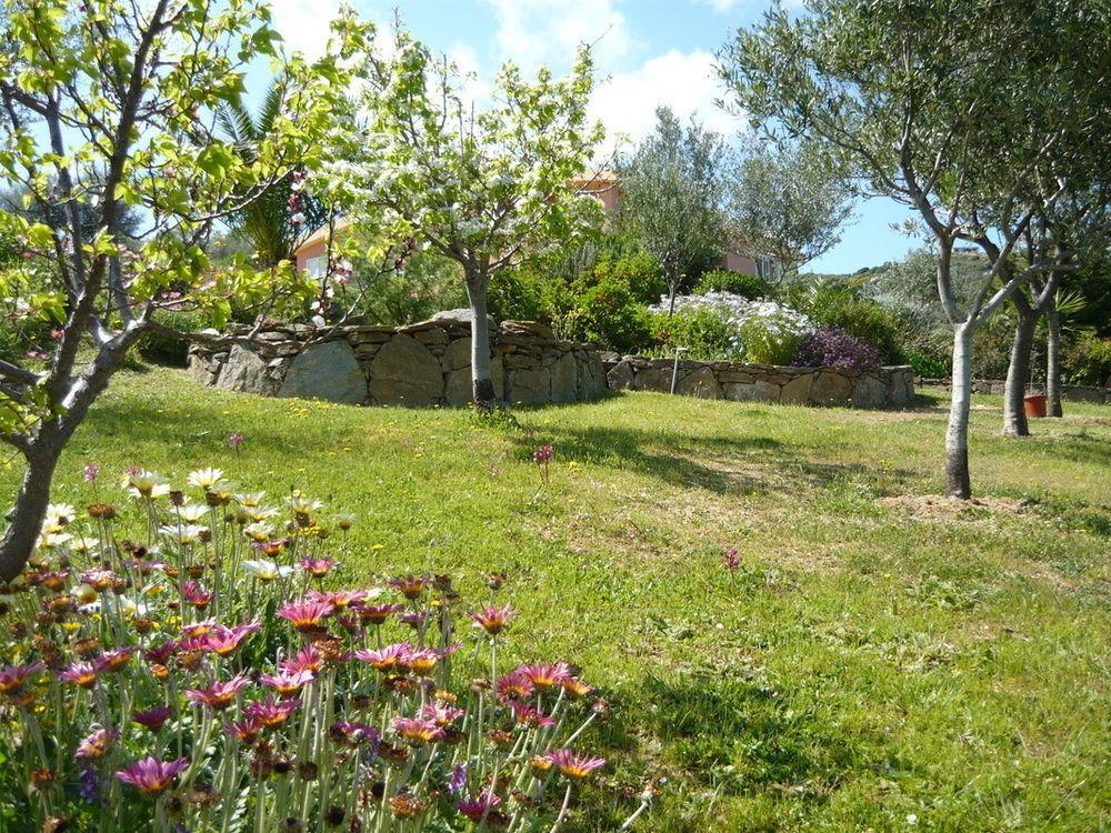 Li Muntigeddi Casa de hóspedes