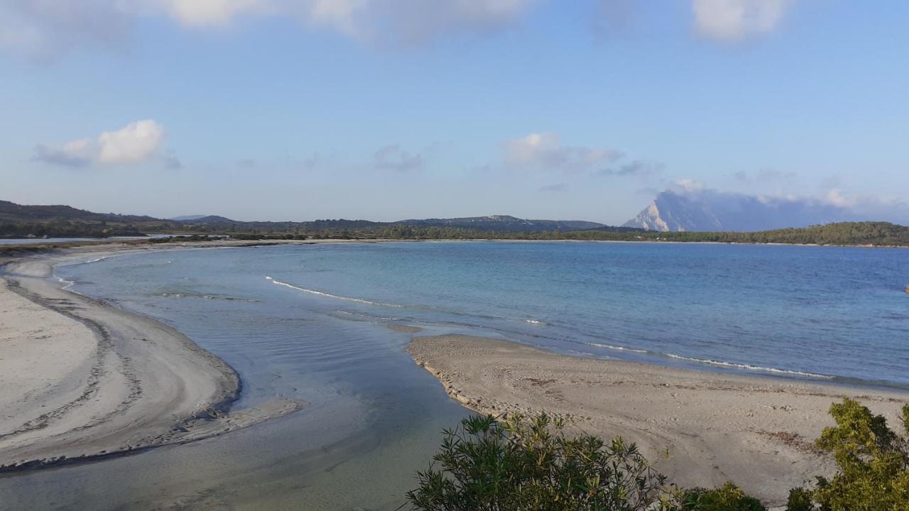 Li Muntigeddi 3* San Teodoro (Sardinia)