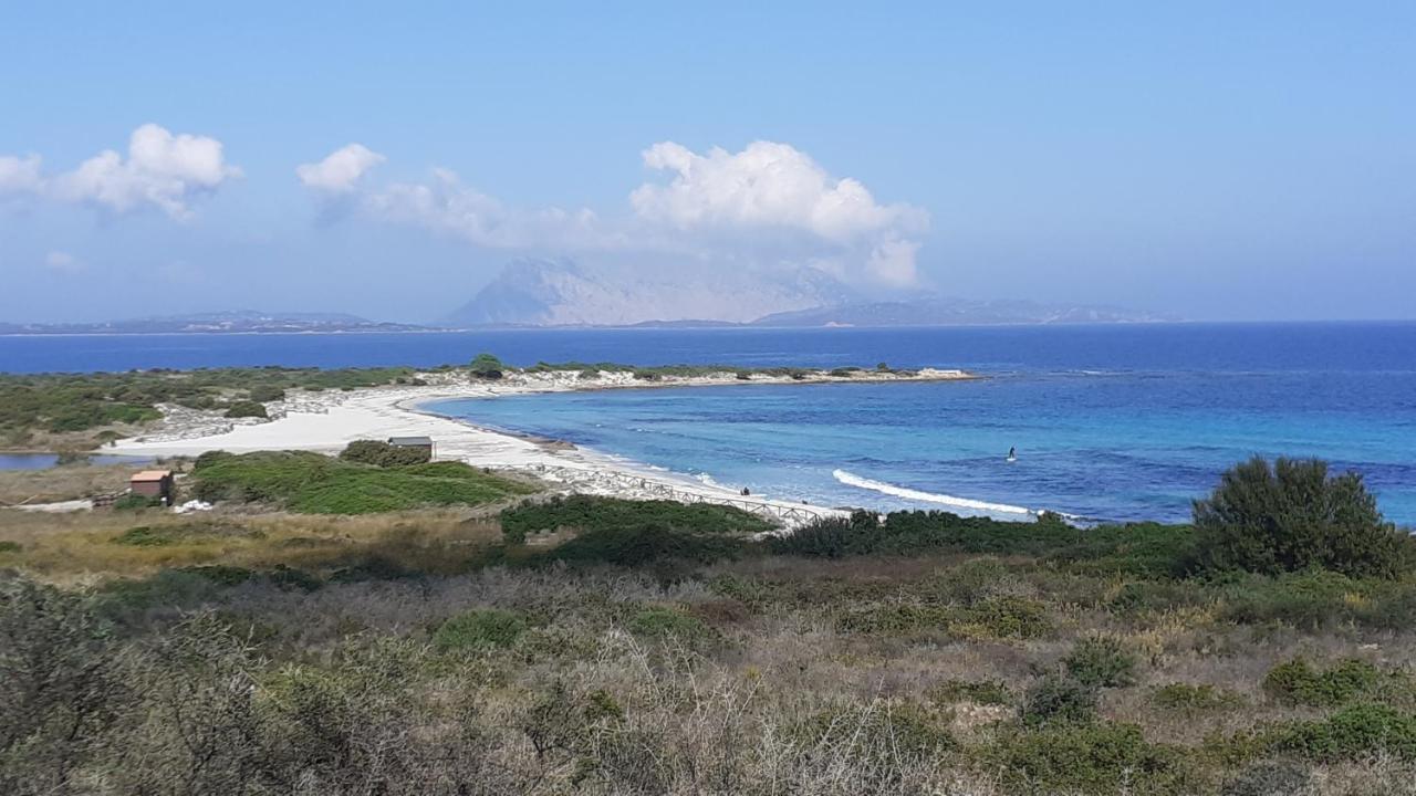 Li Muntigeddi San Teodoro (Sardinia)