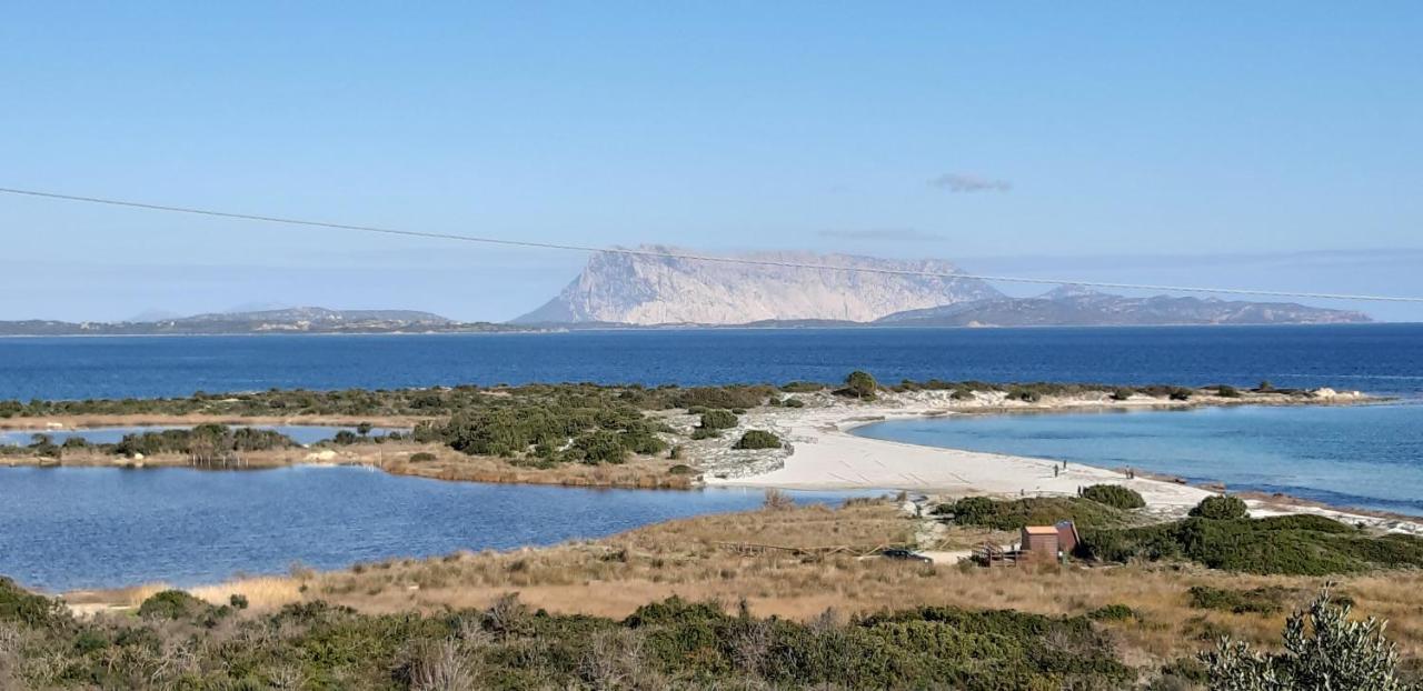 Maison d'hôtes Li Muntigeddi San Teodoro (Sardinia)
