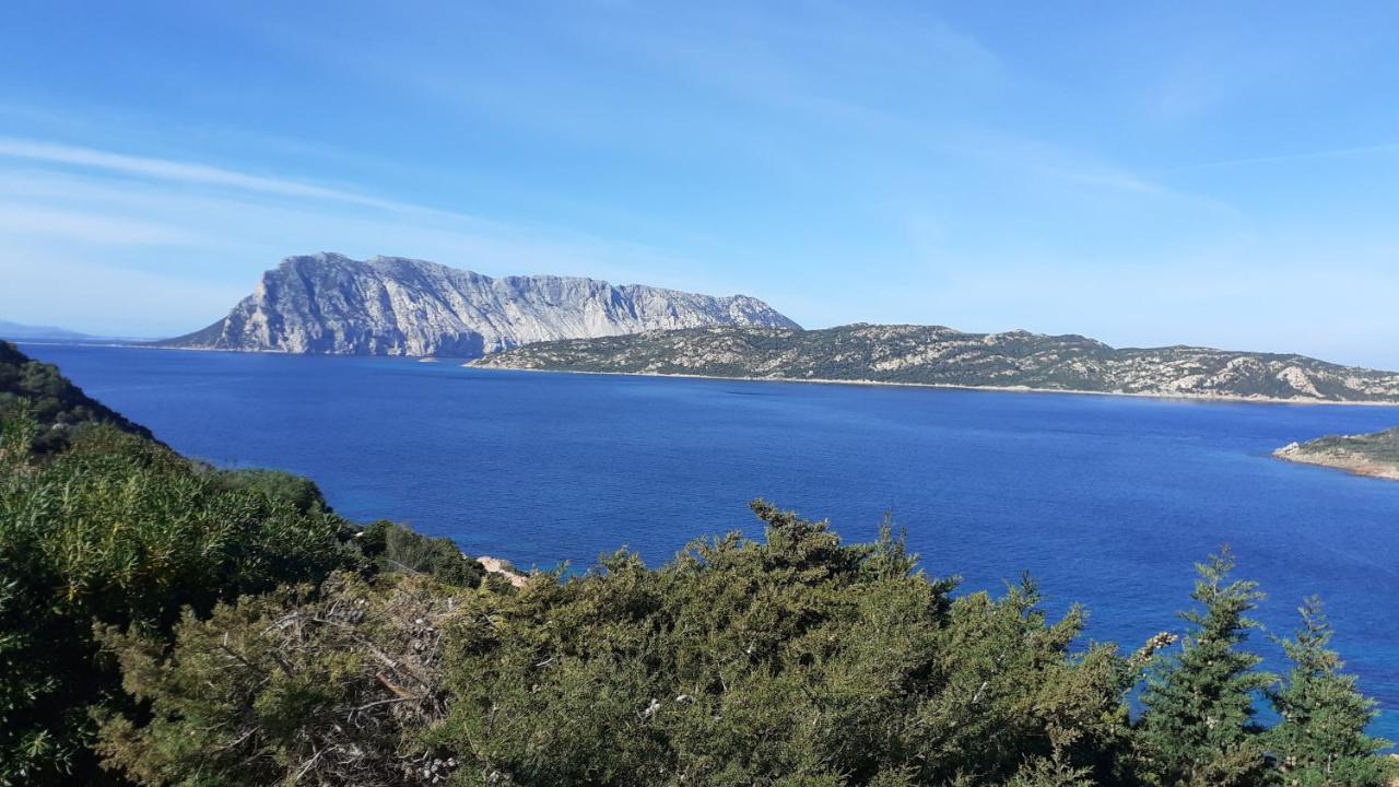 Li Muntigeddi 3* San Teodoro (Sardinia)